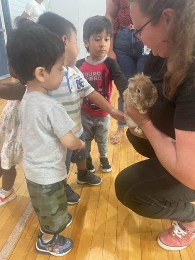 Small children reaching out to pet rabbit